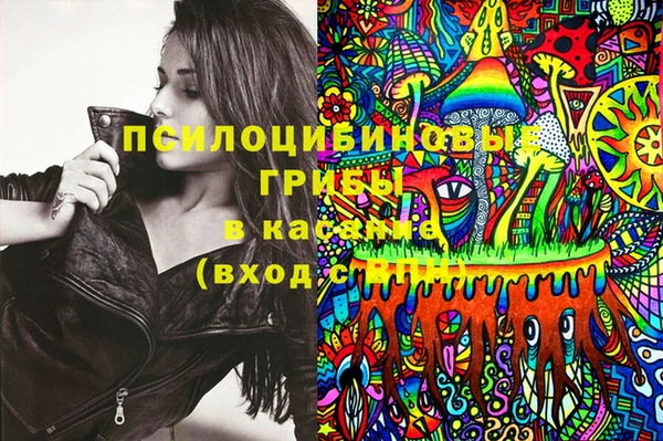 ПСИЛОЦИБИНОВЫЕ ГРИБЫ Усинск