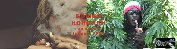 ГАЛЛЮЦИНОГЕННЫЕ ГРИБЫ Ельня